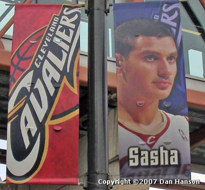 Sasha Pavlovic banner