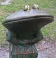 Where is this frog?