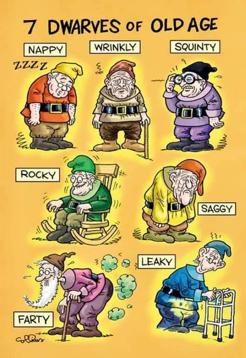 7 Dwarves of Old Age